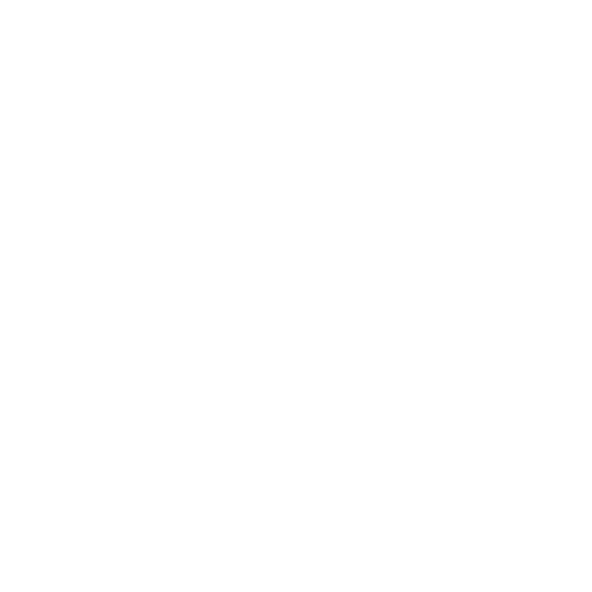 robaustin Logo